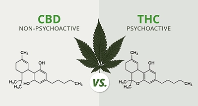 Will CBD get me high? Will CBD get me high?