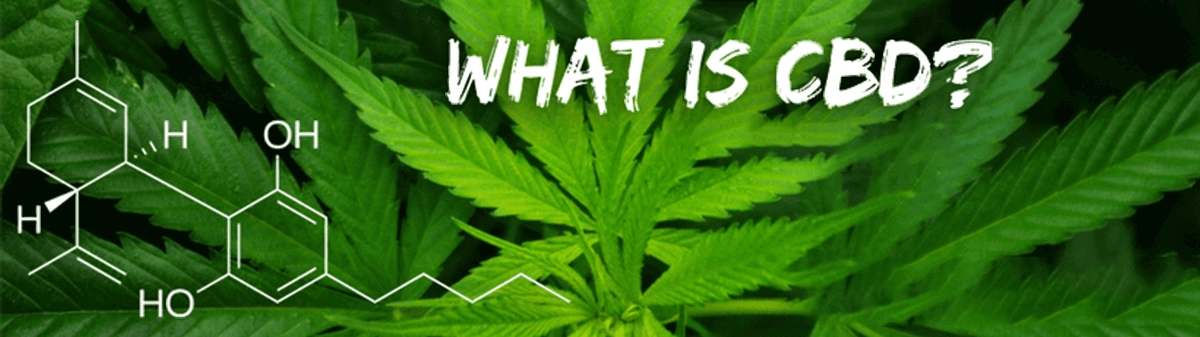What is CBD? What is CBD?