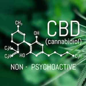What is CBD ingredients