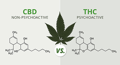 Will CBD get me high? Will CBD get me high?