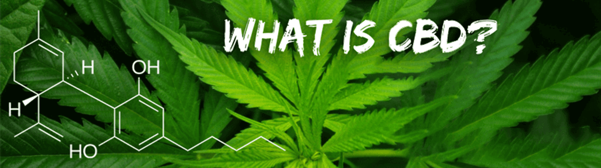 What is CBD? What is CBD?