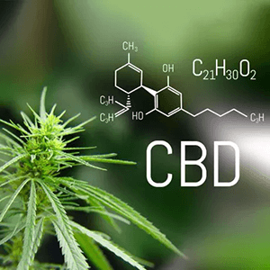 CBD