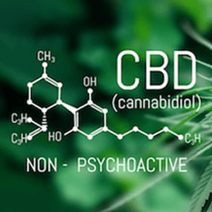 What is CBD ingredients What is CBD ingredients